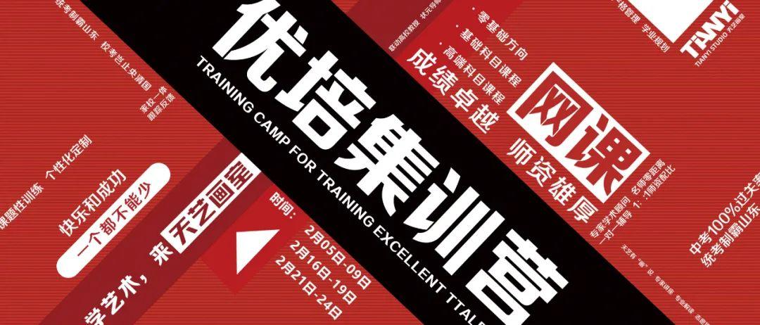 1:1 vip指导 天艺线上寒假集训营2月1日开战!